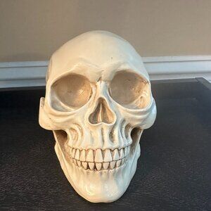 READAEER Skull Head-HALLOWEEN statue